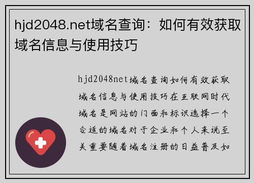 hjd2048.net域名查询：如何有效获取域名信息与使用技巧